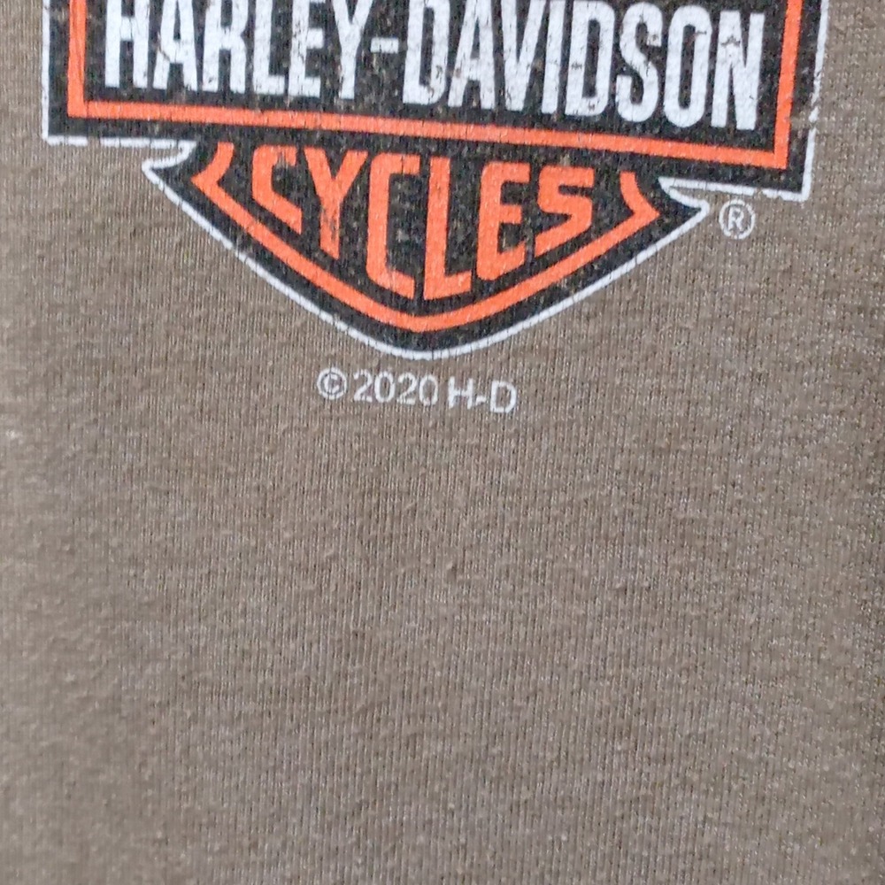 Harley-Davidson Mens Long Sleeve Graphic T-Shirt Tan Dothan Alabama Eagle L - Picture 6 of 9